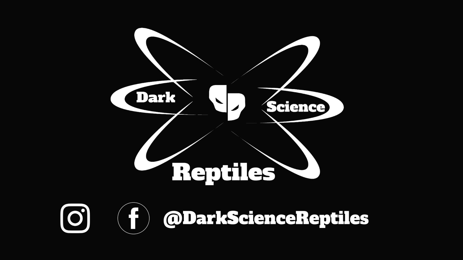 Ball Python Clutch 2003 by Dark Science Reptiles MorphMarket