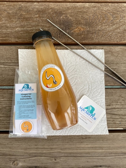 Established Vinegar Eel Culture 12oz Other Freshwater Invert By Aquabites established-vinegar-eel-culture-12oz-other-freshwater-invert-by-aquabites
