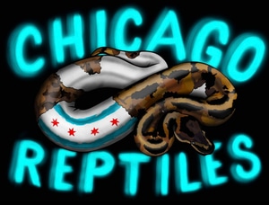 Chicago Reptiles - MorphMarket