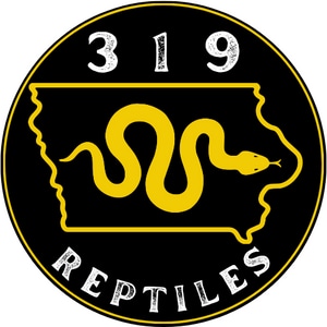 319 Reptiles - MorphMarket