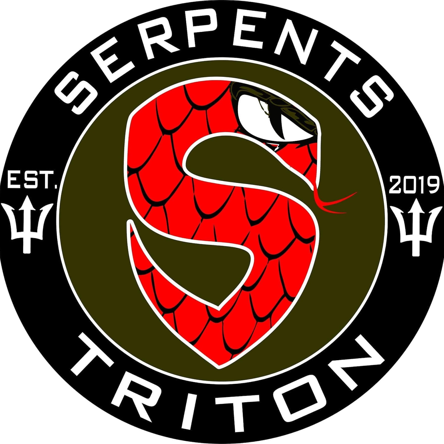 Ball Python Clutch: 003 by Serpents Of Triton - MorphMarket