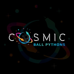 Cosmic Ball Pythons - MorphMarket