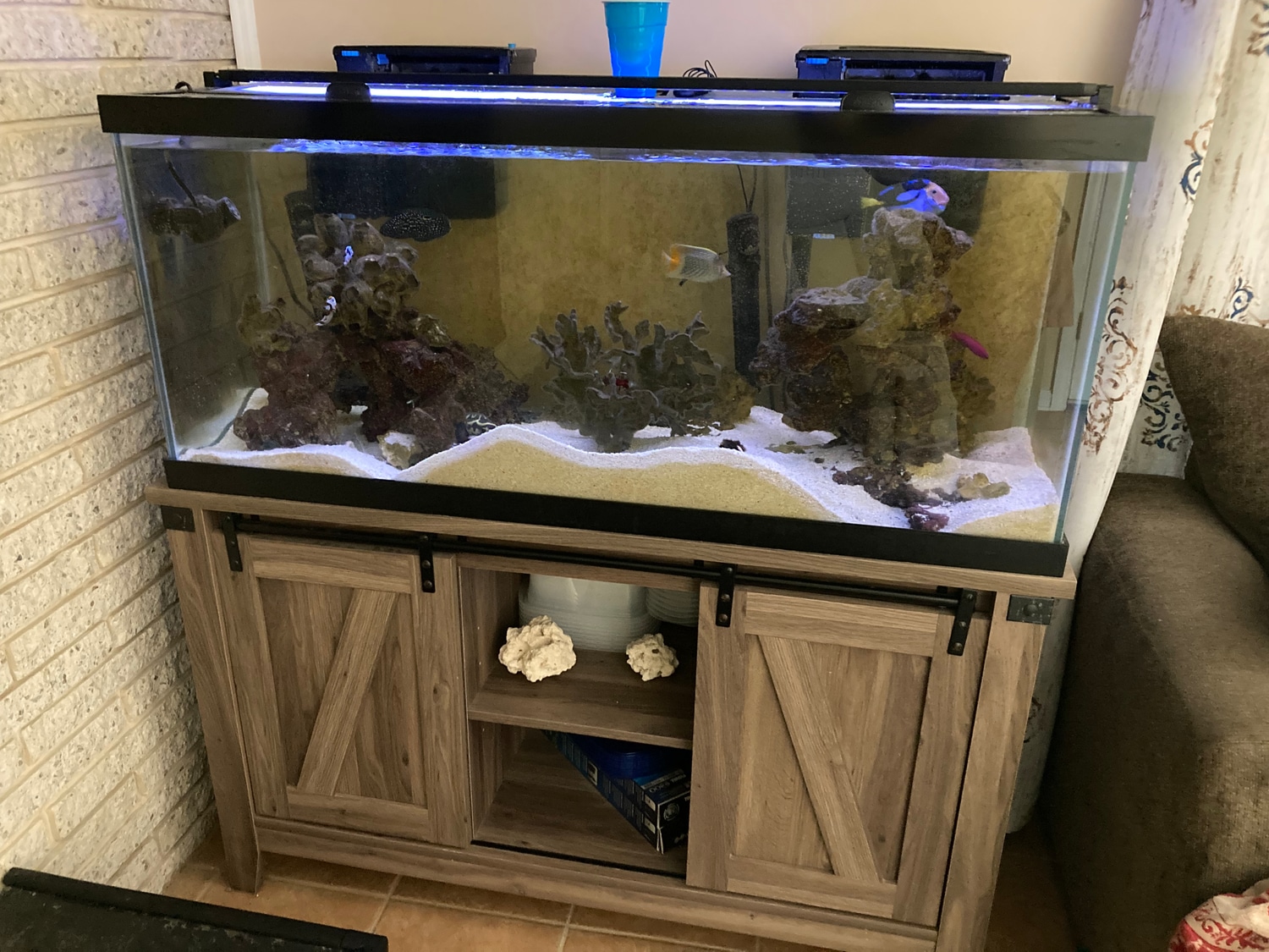Complete 75 gl saltwater aquarium
