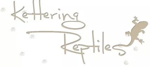 small breed dog food salmon