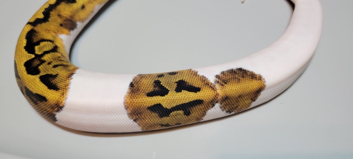 20220827233215.983-20220823_164244-710x7