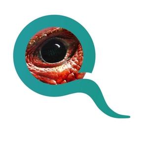 Quality Reptiles European breeding facility store logo