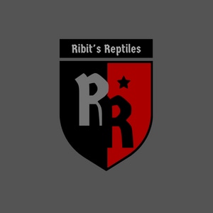 Ribits_reptiles - MorphMarket