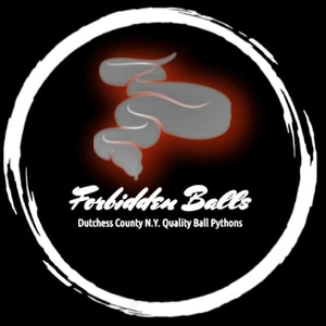 Forbidden Balls - MorphMarket