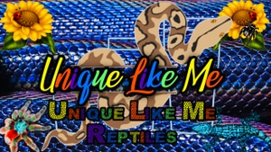 Unique Like Me Reptiles - MorphMarket