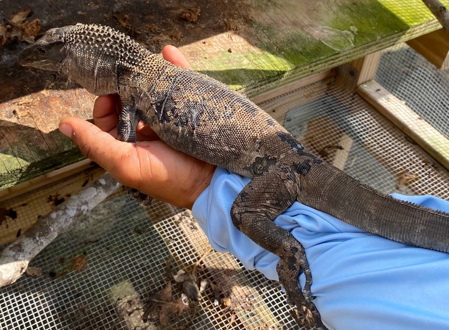 LTC Black Roughneck Monitor by Crutchfield Farms MorphMarket