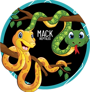 MACK Snakes & Reptiles - MorphMarket
