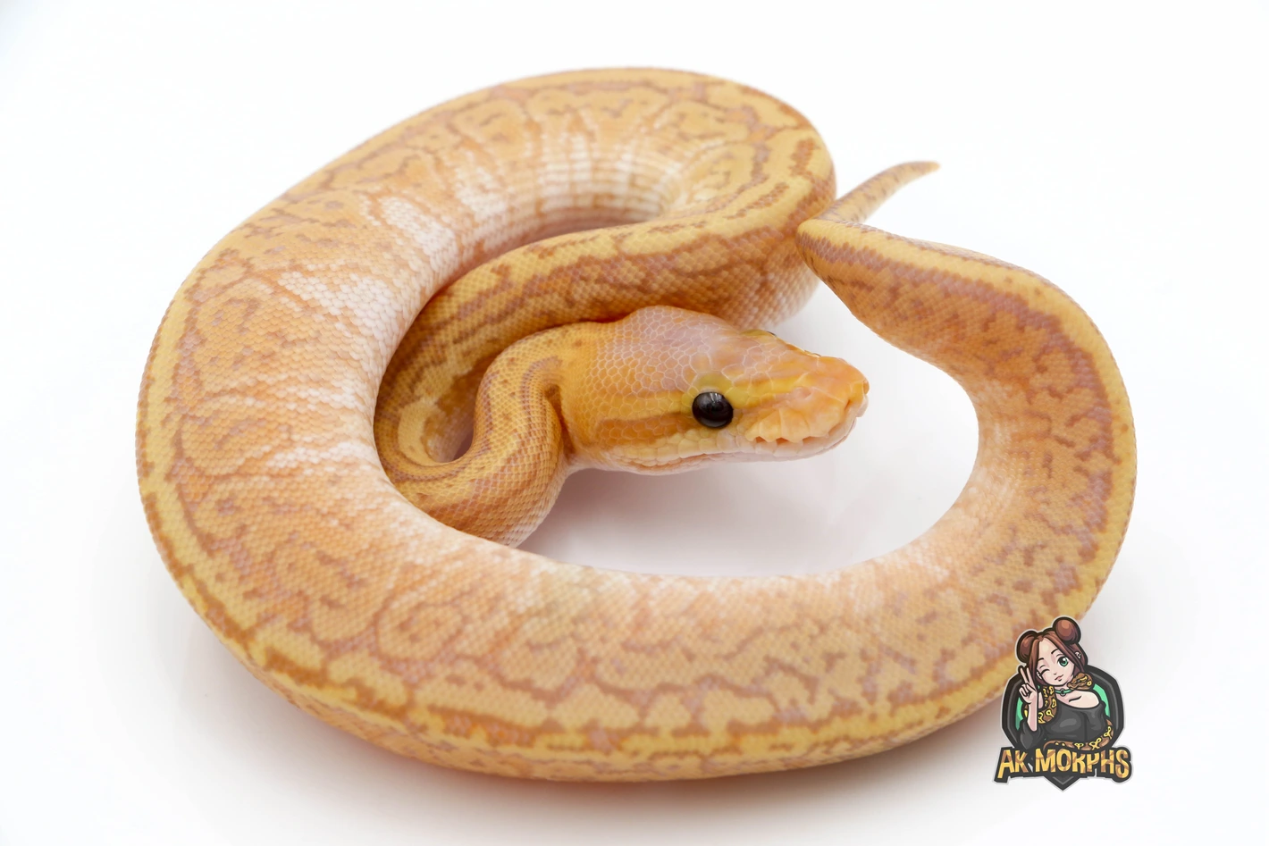 banana Z-Flex Roundtail 39