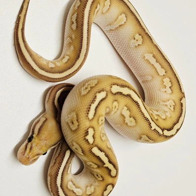 Banana Stranger Butter