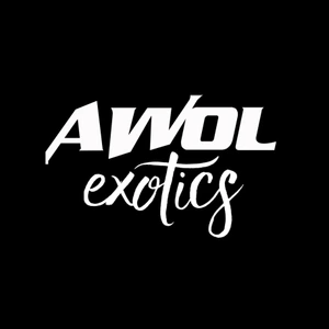 AWOL Exotics - MorphMarket