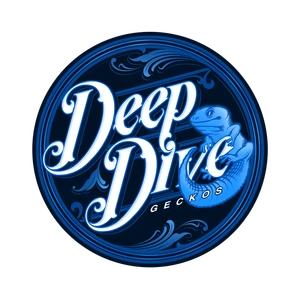 Deep Dive Gecko's - MorphMarket