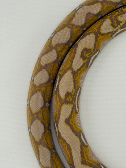 Renick Ghost 66% Silver Line Anthrax Reticulated Python by Rock’in ...