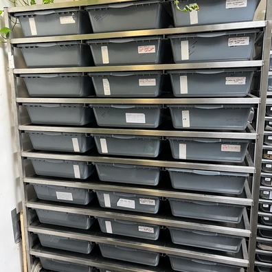 Part Collection For Sale