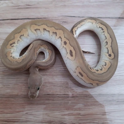 Clown Cinnamon Butter