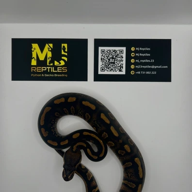 Stranger Yb Het Clown