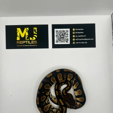 Stranger Het Clown Possphantom