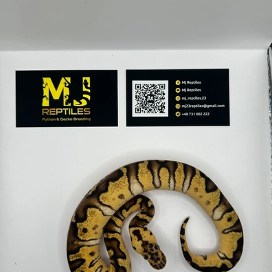 Pastel Enchi Stranger Clown