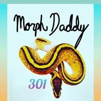 Ball Python Clutch: Han1 by Morph Daddy Mutations - MorphMarket