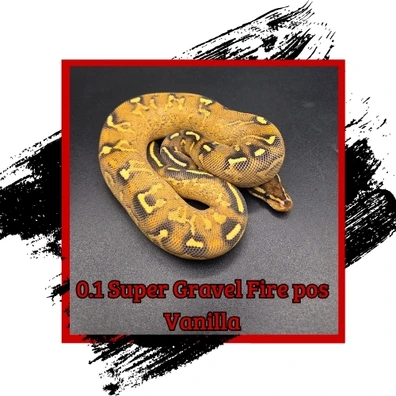 Super Gravel Fire Pos Vanilla