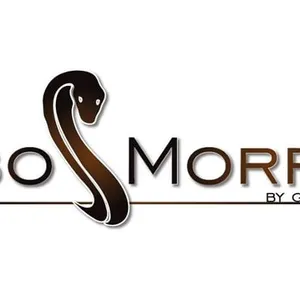 Pybo Morphs - MorphMarket