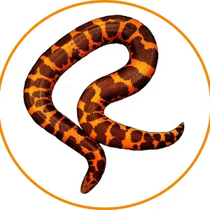 邦楽 Mardelas/Snake to Revive + morphose Snake to Metamorphose | Mardelas Official Website