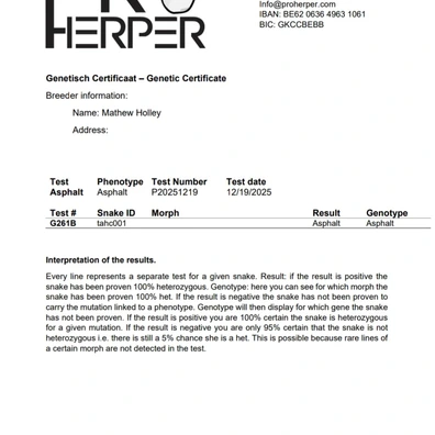 Pastel Asphalt Hypo Het Pied