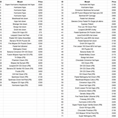 Collection For Sale Ball Python - unknown for sale from SD Imperial Pythons
