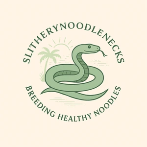 Slythery Noodle Necks - MorphMarket