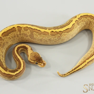 Pinstripe Super Gravel